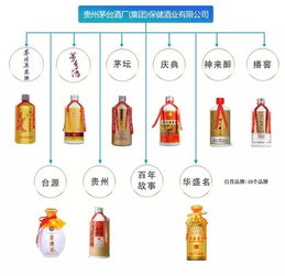 茅台最全产品图及技术服务指南